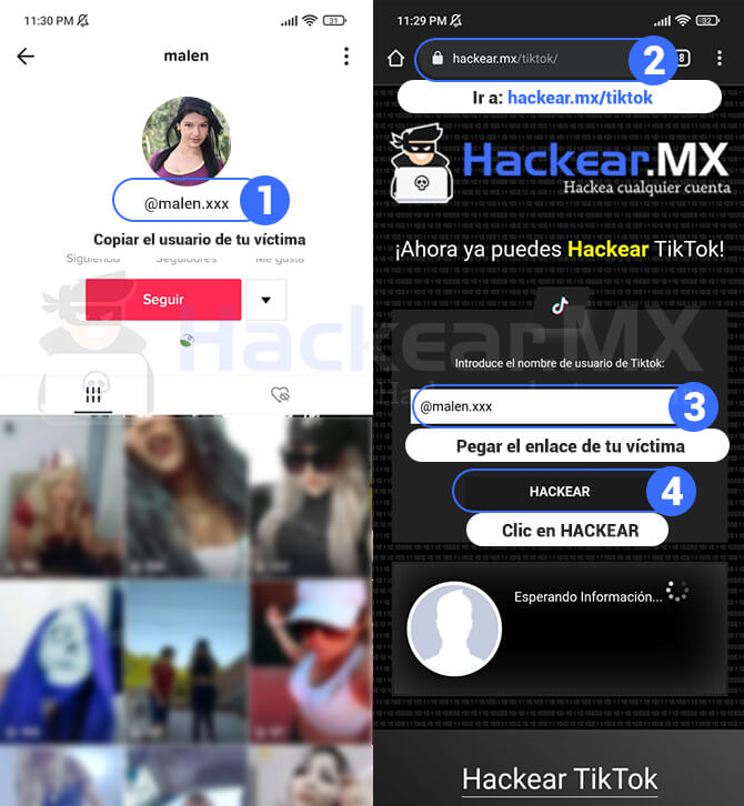 ⭐⭐⭐⭐⭐ Hackear Tiktok Paso A Paso 2024 4833