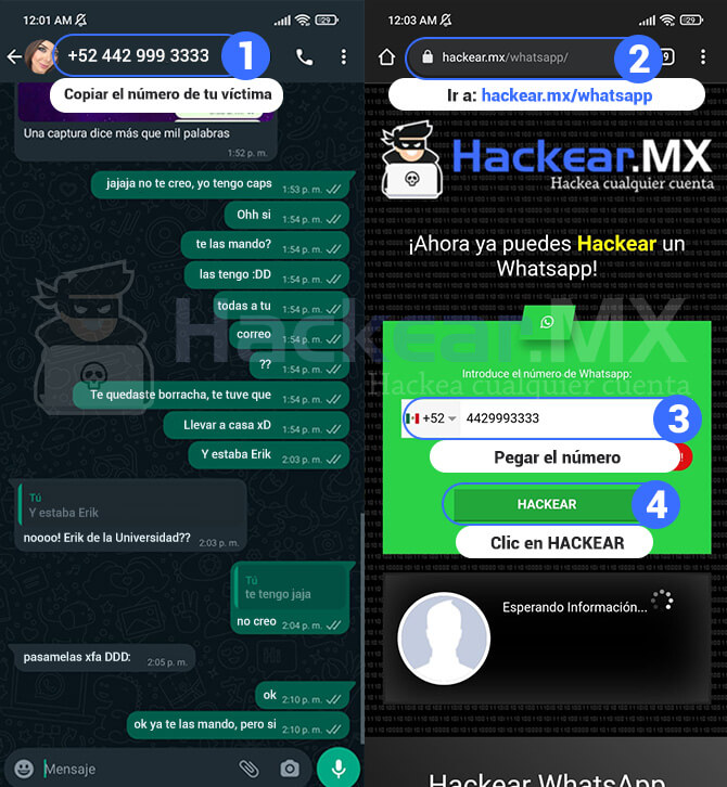 ⭐⭐⭐⭐⭐ Hackear WhatsApp paso a paso [2024]