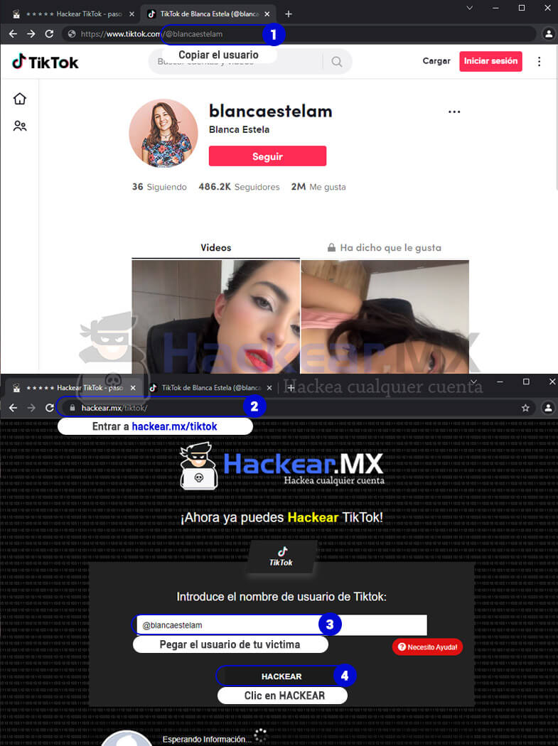 ⭐⭐⭐⭐⭐ Hackear Tiktok Paso A Paso 2024 7446